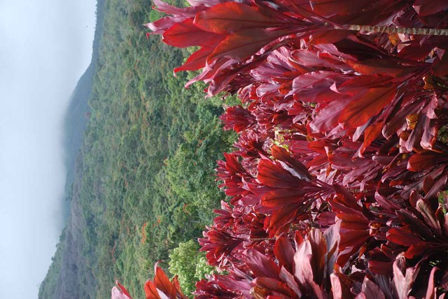 Hawaii08 005