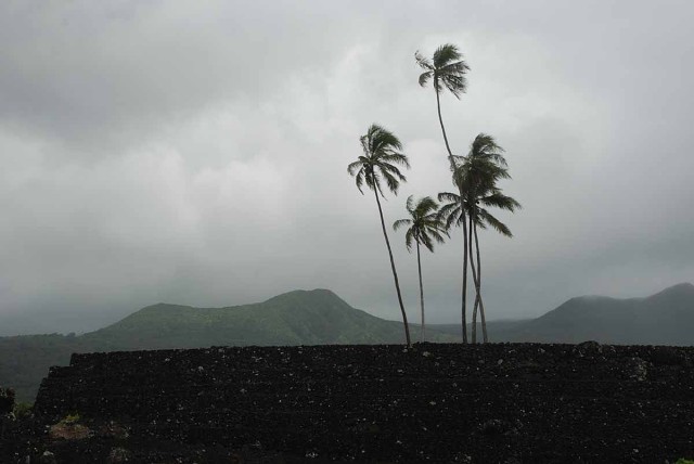 Hawaii08 010
