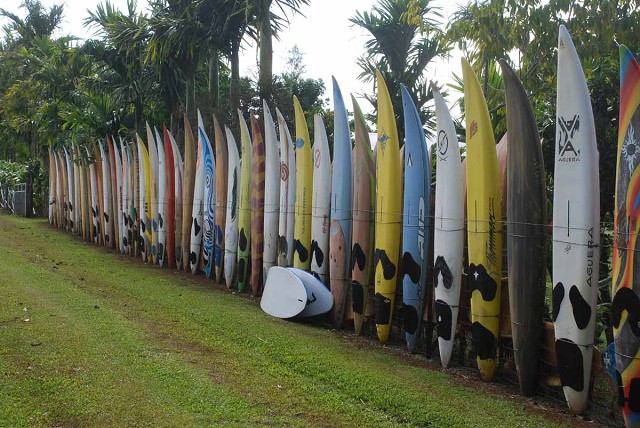 Hawaii08 014