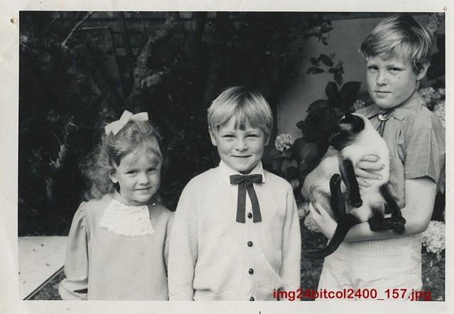 Img24bitcol2400 157 4web