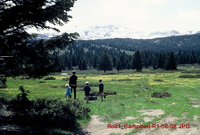 Roll1 Campbell-R1-58-58 4web