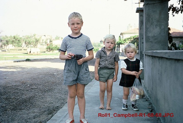 Roll1 Campbell-R1-68-68 4web