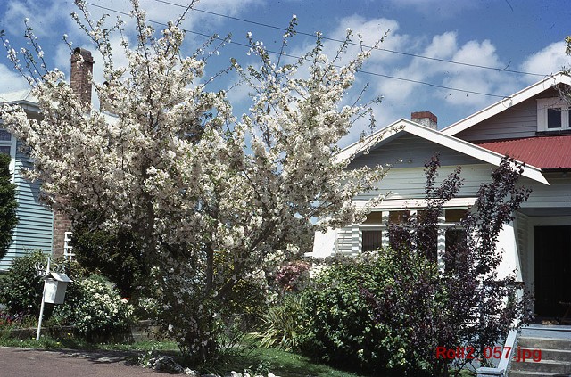 Roll2 057 4web