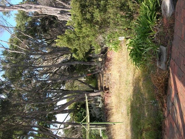 Rye Garden April 08036