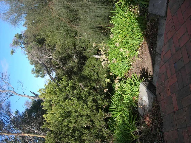 Rye Garden April 08037